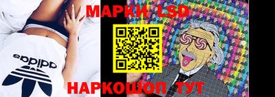 индика Будённовск